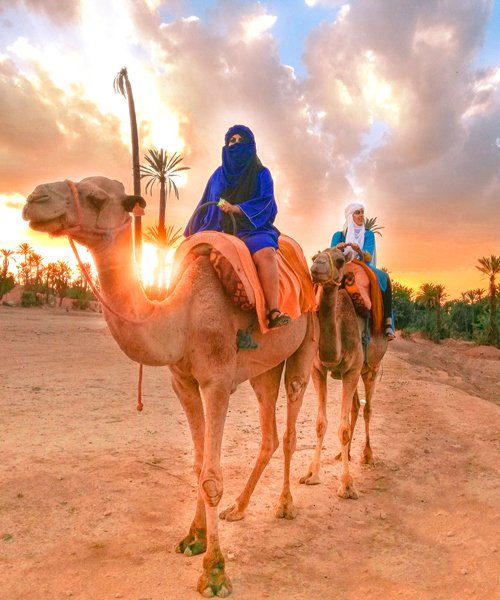 Sunset Tour & Camel Ride At Palm Grove Of Marrakech